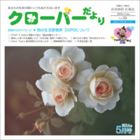 clover39