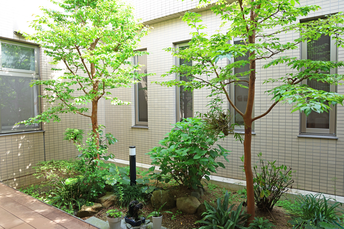 centergarden